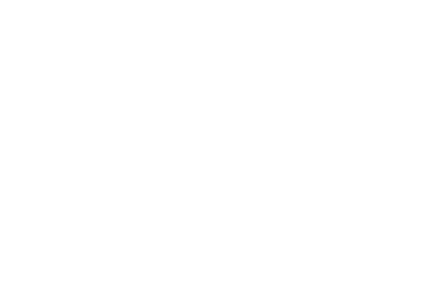 Icon Chemical